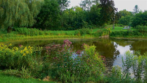 pond